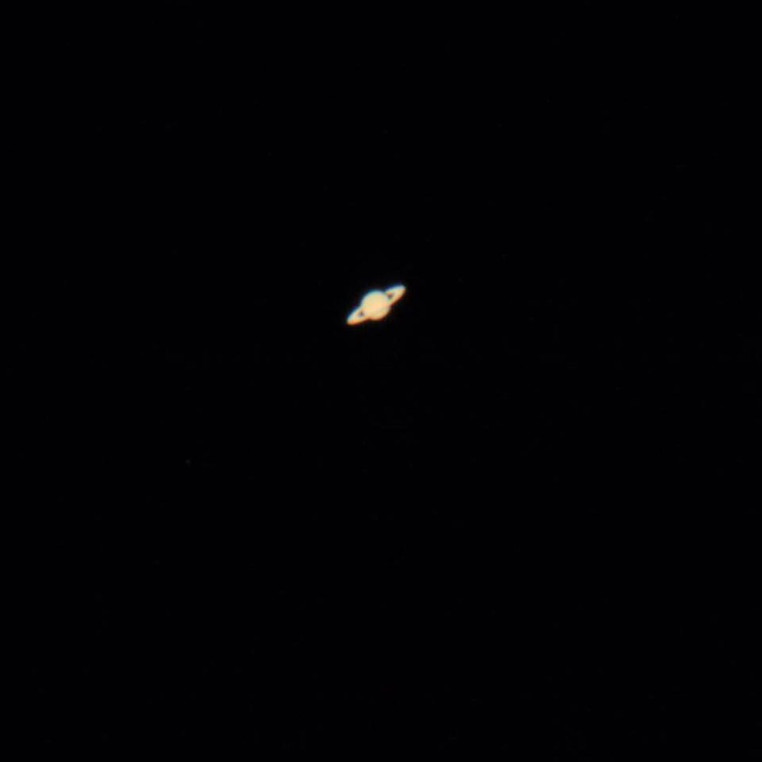Marcus Reedi foto Saturnist