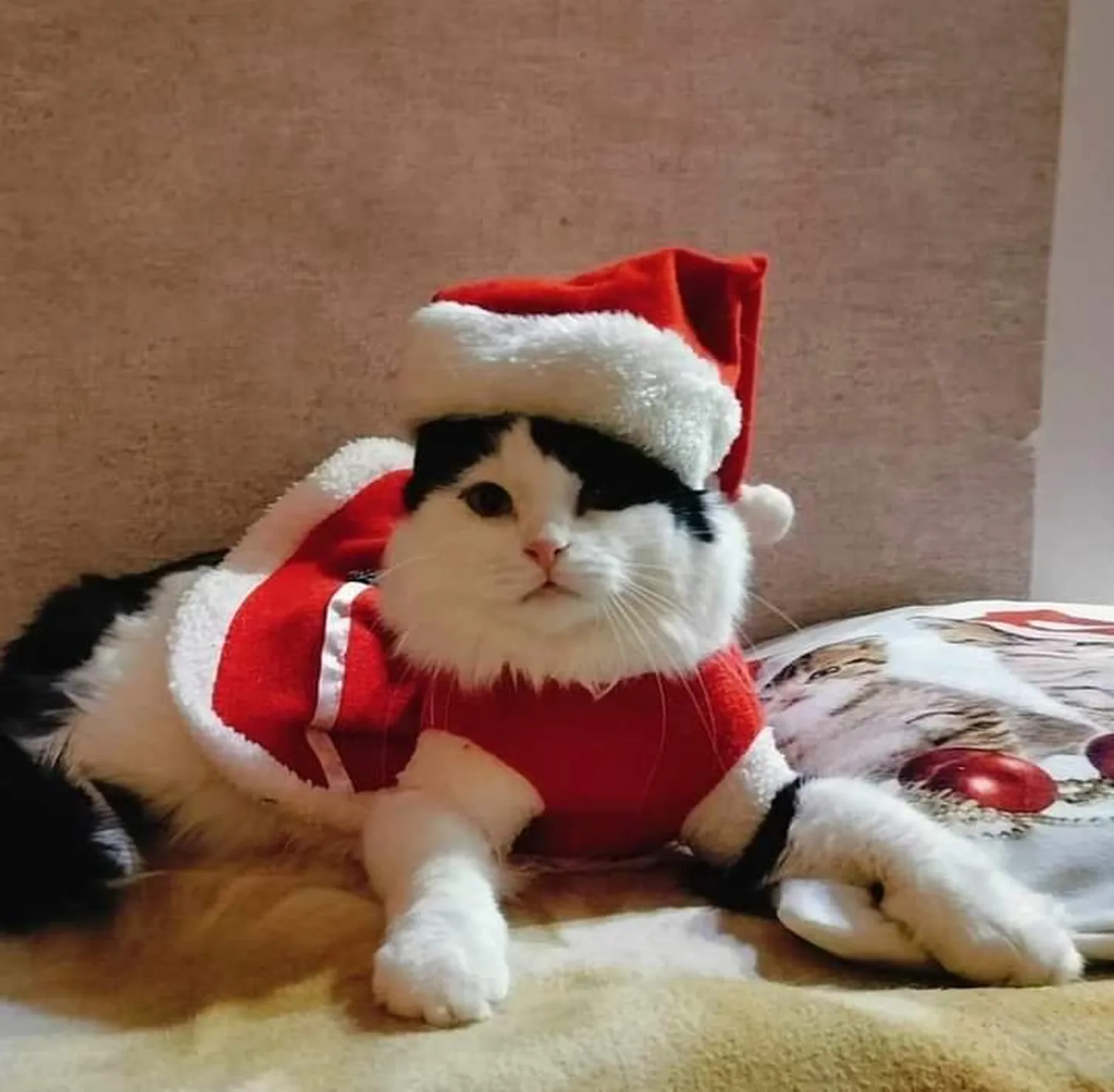 Minni Jõulud!