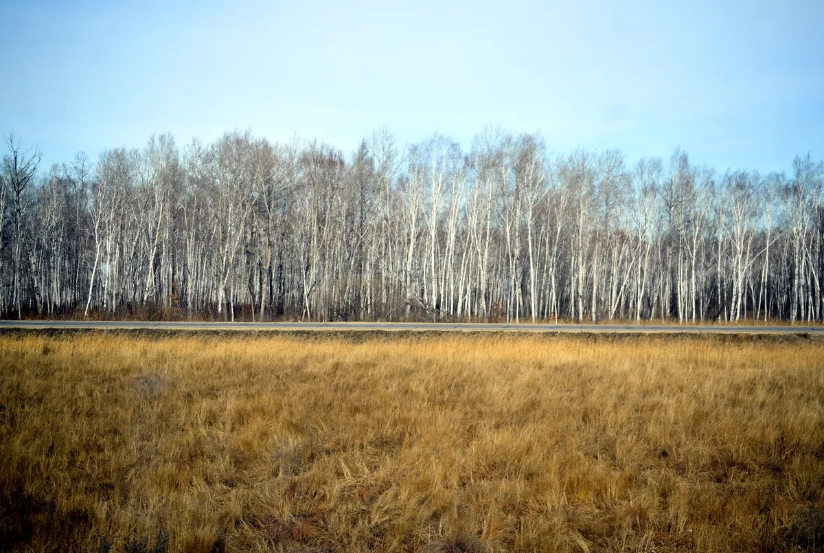 Фото статьи