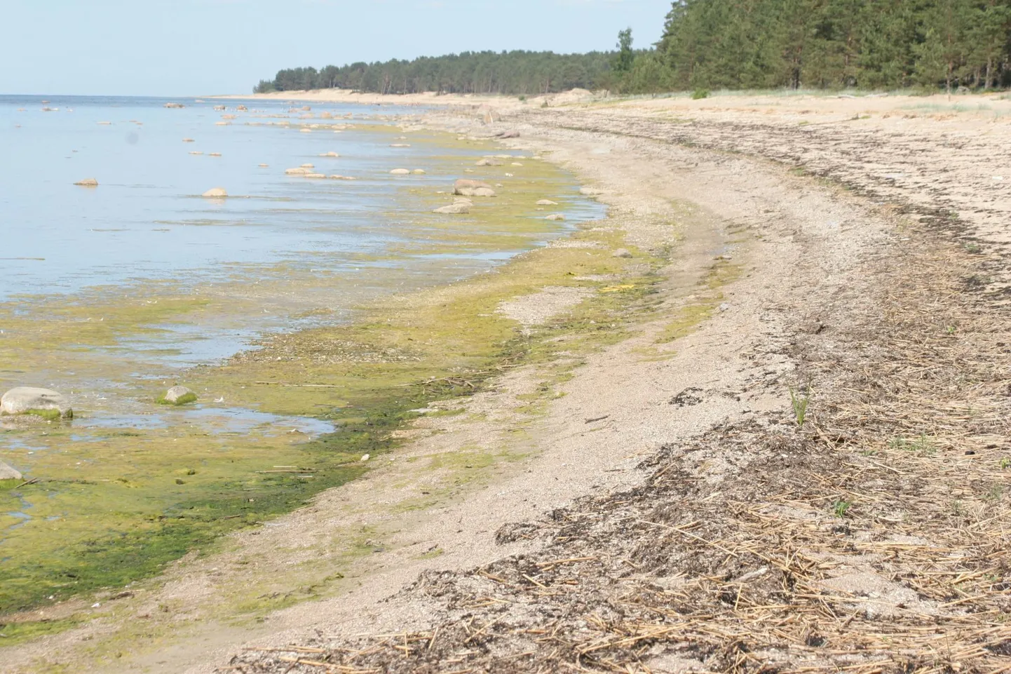 Kehtiva seaduse kohaselt võib mere ääres ehitada hooneid vähemalt 100 meetri kaugusel kaldast.