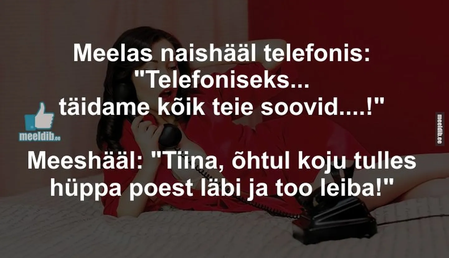 Artikli foto