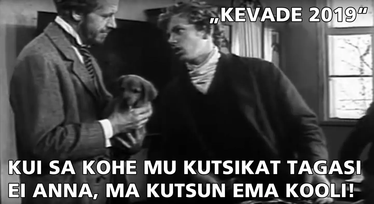 «Kevade 2019» meem.