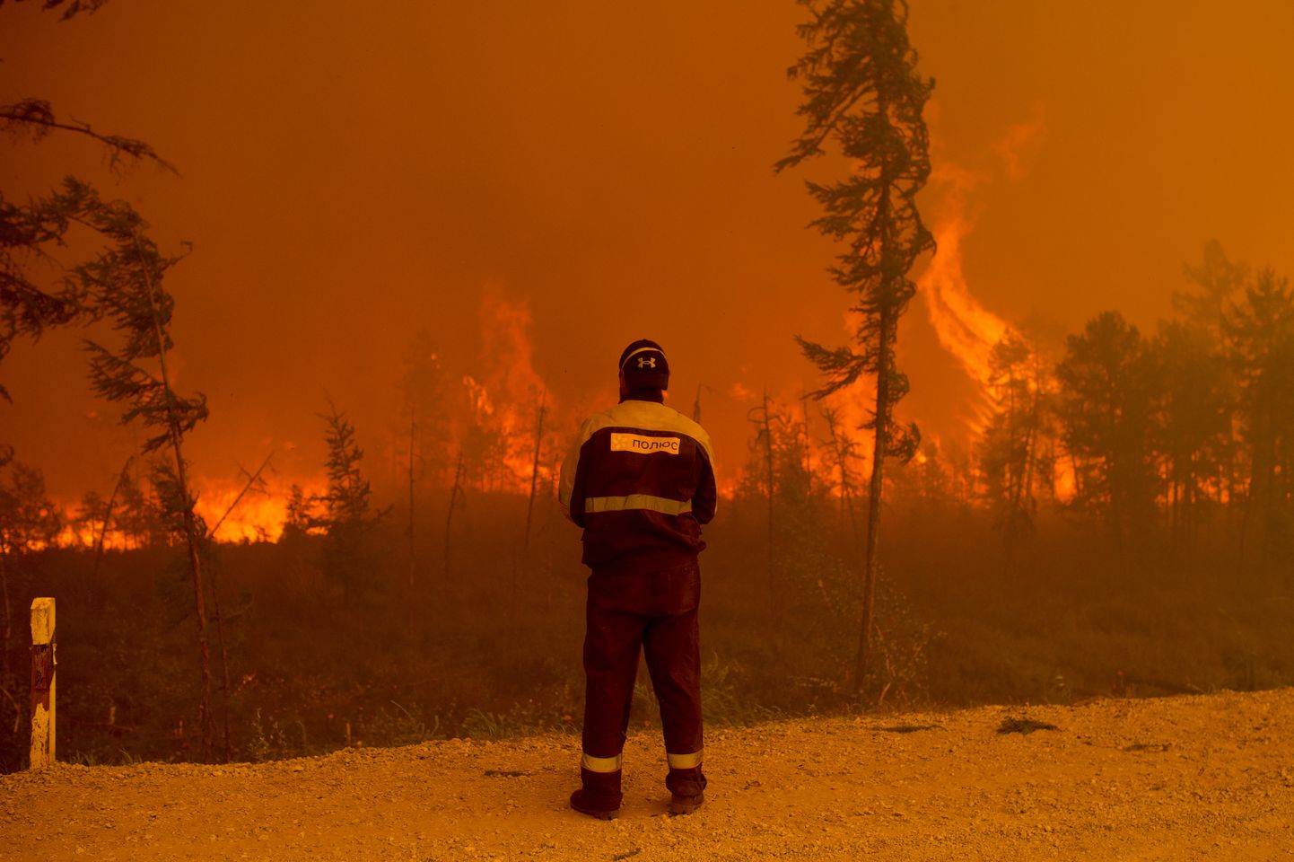 Лесной пожар в России