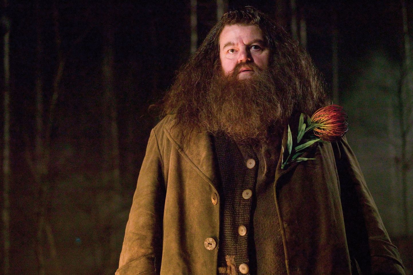 Robbie Coltrane Hagridina filmis «Harry Potter ja tulepeeker».