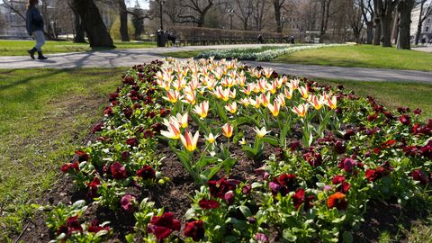 ГЛАВНОЕ ЗА 24 АПРЕЛЯ ⟩ Суд бизнесмена с VID, пожар в баре в Старой Риге и что помогло найти пропавшего ребенка