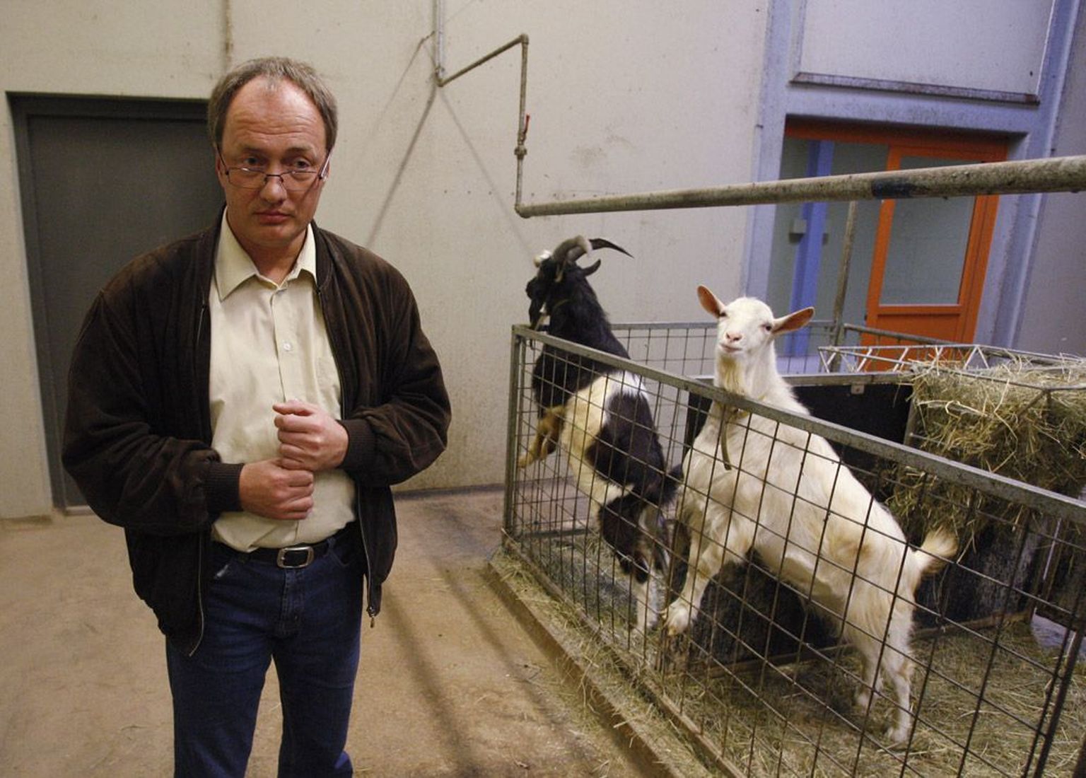 Maaülikooli veterinaarmeditsiini ja loomakasvastuse instituudi direktor Toomas Tiirats.