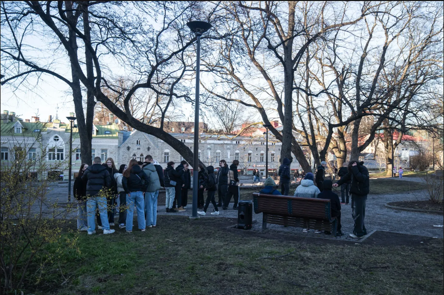 Фото статьи