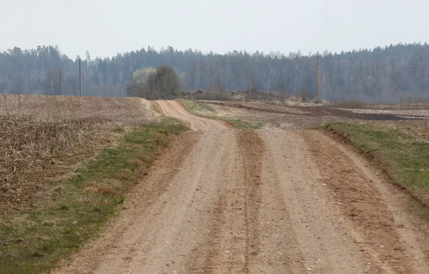 Raksta foto