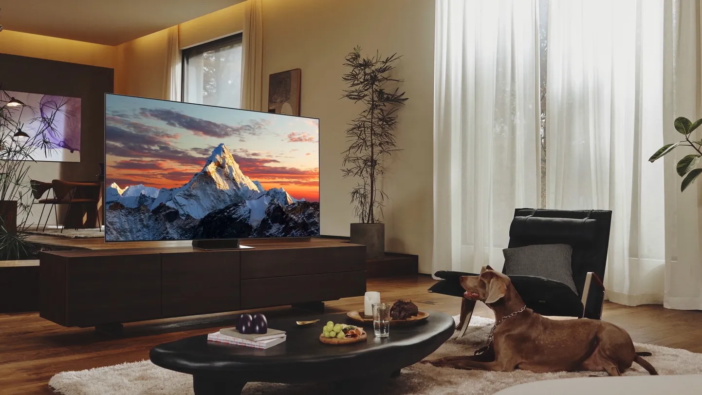 Ostetakse odavamaid telereid, aga kuna suurte ekraanide hinnad langevad, siis ka aina suurema ekraaniga pildinäitajaid.
