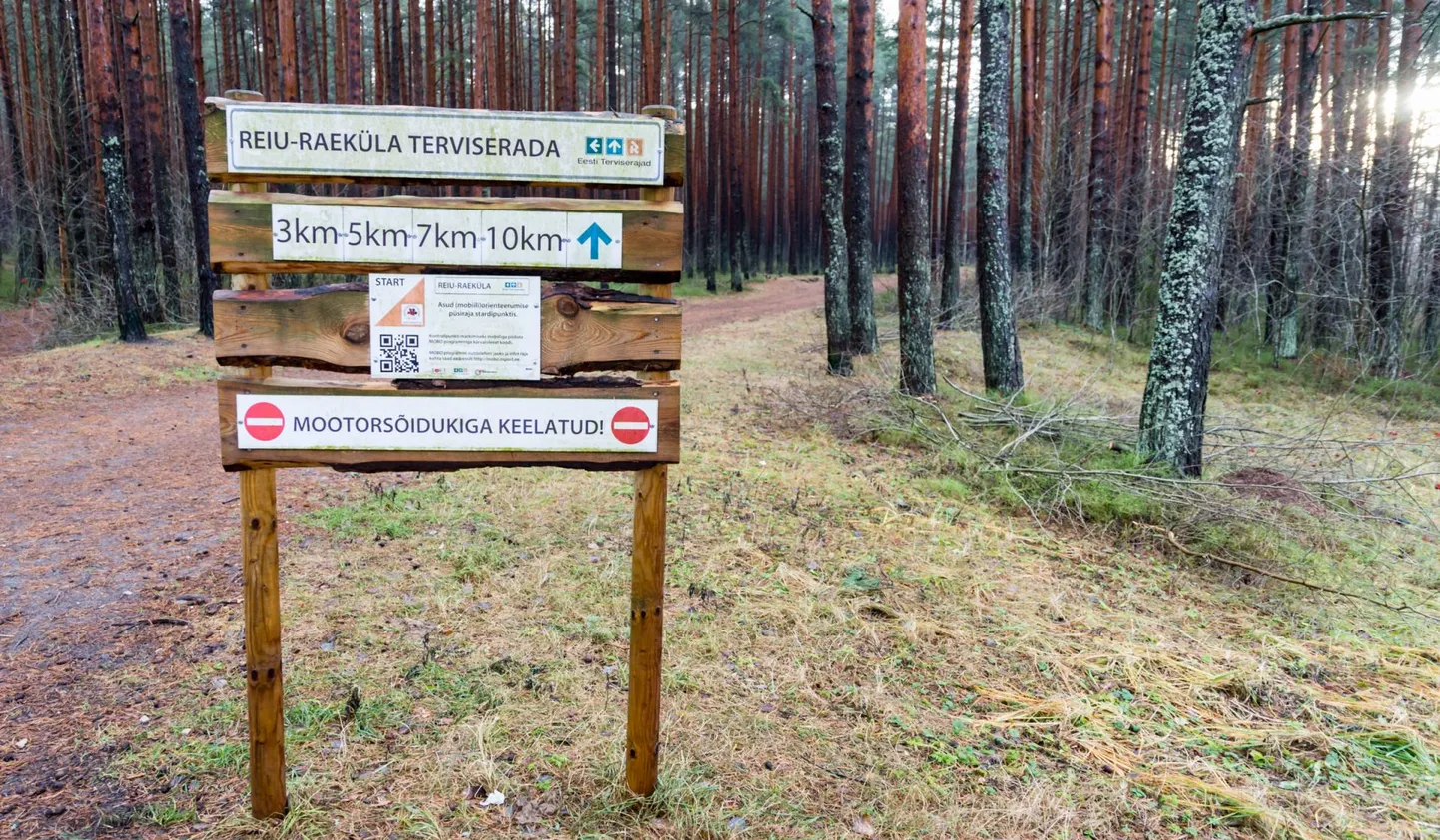 Pärnumaal arendatakse riigi toel Reiu-Raeküla suusarada. Investeeritakse raja valgustusse ja veesüsteemide rajamisse kunstlume tootmiseks.