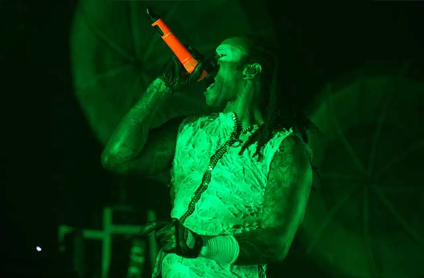 Raksta foto