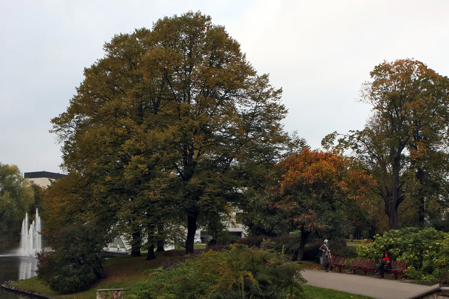 Pilsētas kanāls un Kronvalda parks rudenī.