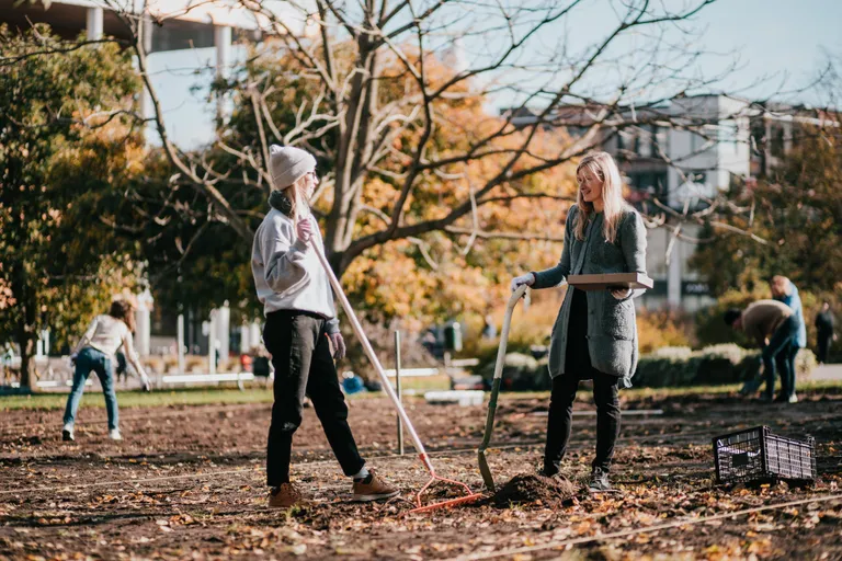 Artikli foto