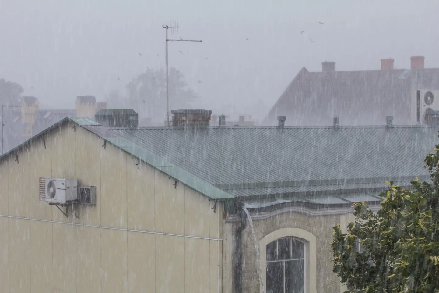 Uue nädala algus on ilmaennustuse kohaselt vihmane.