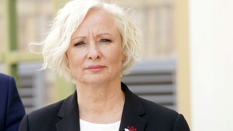 Миериня: крах правительства Силини начался с 