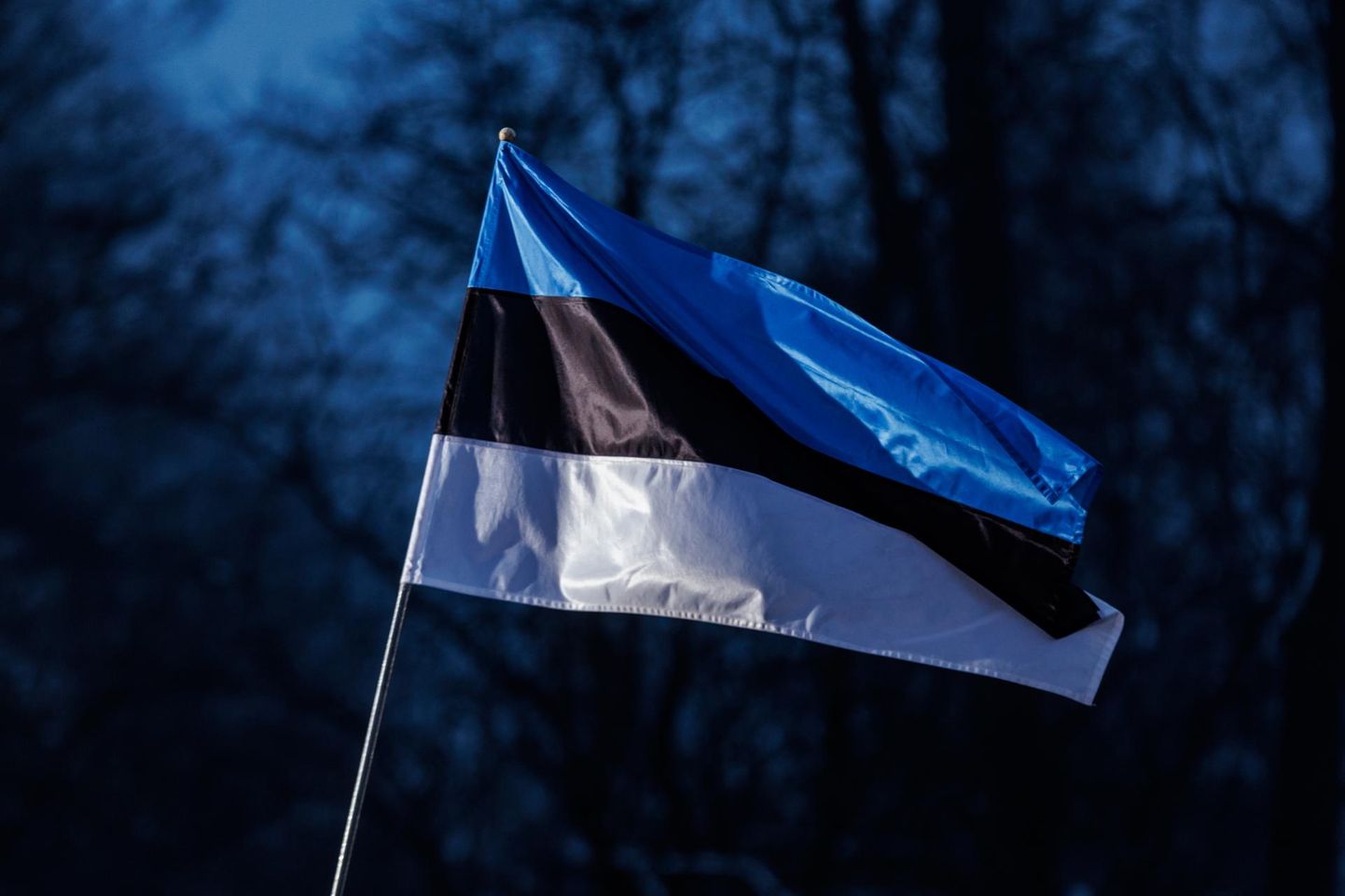 24.02.2023, Tallinn Eesti Vabariigi 105. aastapäev. Pidulik lipuheiskamine Toompeal Komandandi aias.