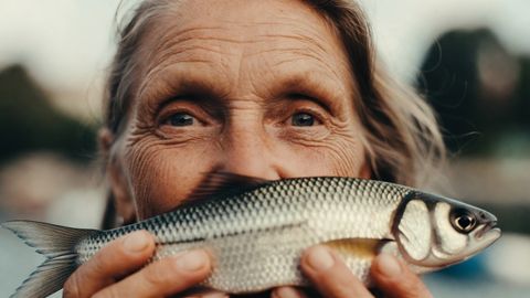 TESTS ⟩ Vai tu proti atšķirt zivi no putna?