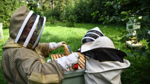 Pärnu County Honey Days held for the third time at the end of June