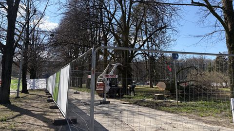 VIDEO ⟩ Keskpargis langesid esimesed puud