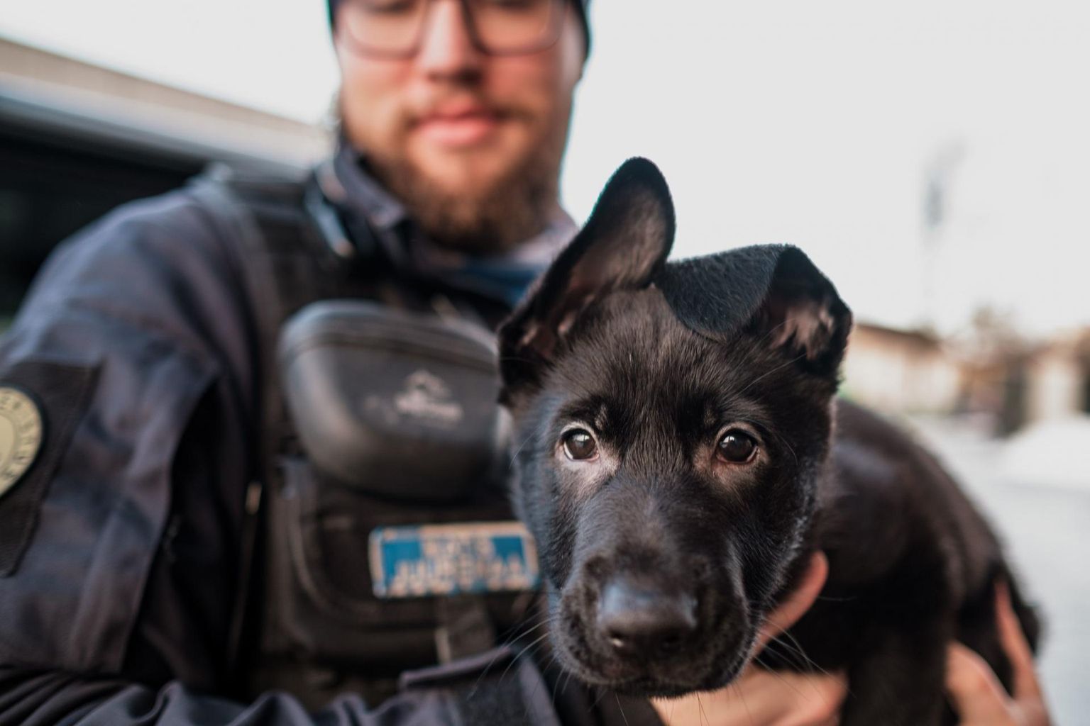 Koerakutsika Otto juhiks on Matis Juuremaa, kes käib patrullis tööl ja tegeleb nüüd koera koolitamisega, et neljajalgne saaks tulevikus oma ülesannetega hakkama.