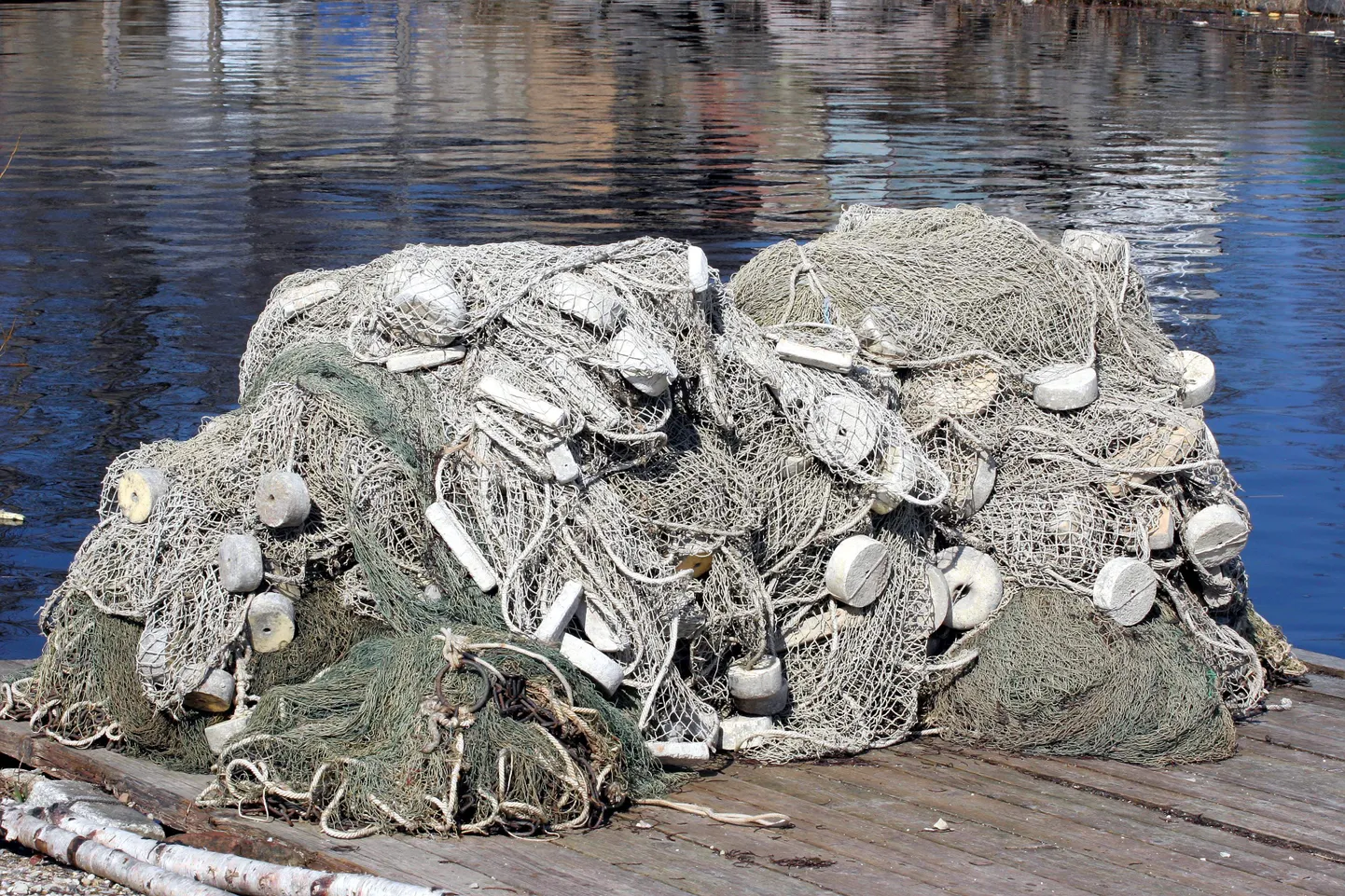 Kalavõrgud.