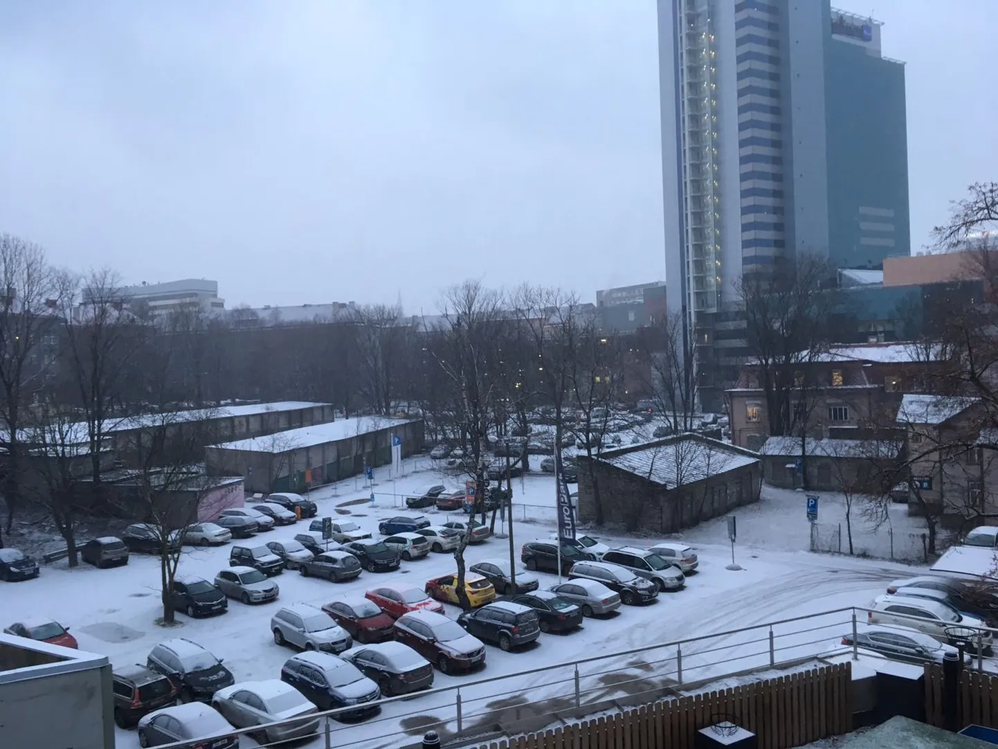 Lumesadu Tallinnas.