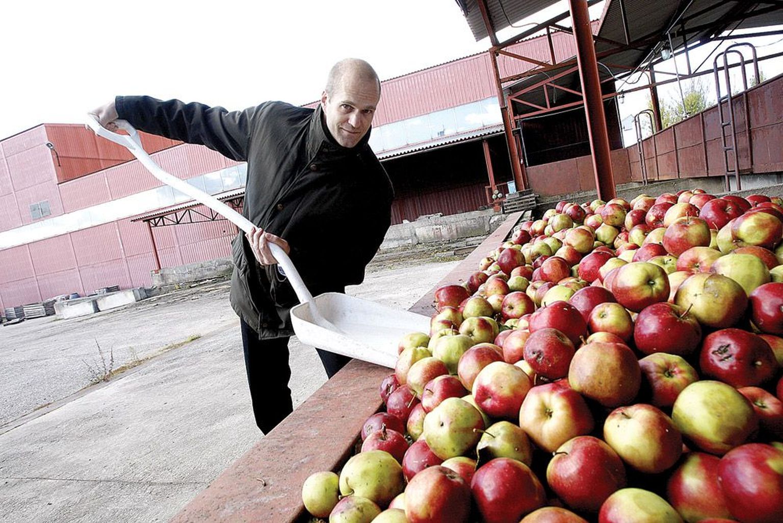 Põltsamaa Felixi turundusdirektor Marek Viilol uuris Leedust ostetud õunu lähemalt ja oli nendega rahul. «Tahtsime tööstusõuna, aga saime ilusa ja korraliku kauba, millest saab mõnusalt magusa mahla,» rõõmustas ta.