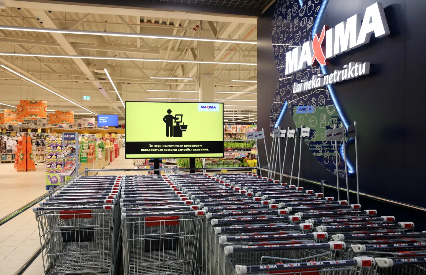 Raksta foto
