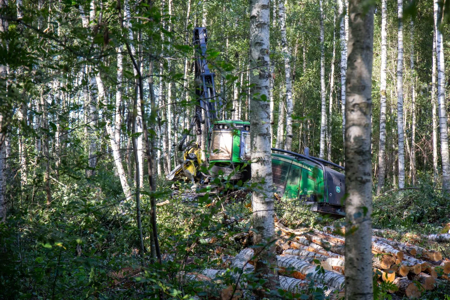Reedel töötas Ihaste tee 18 krundil metsamasin. Sama päeva õhtuks olid tööala ümber kerkinud aiad.