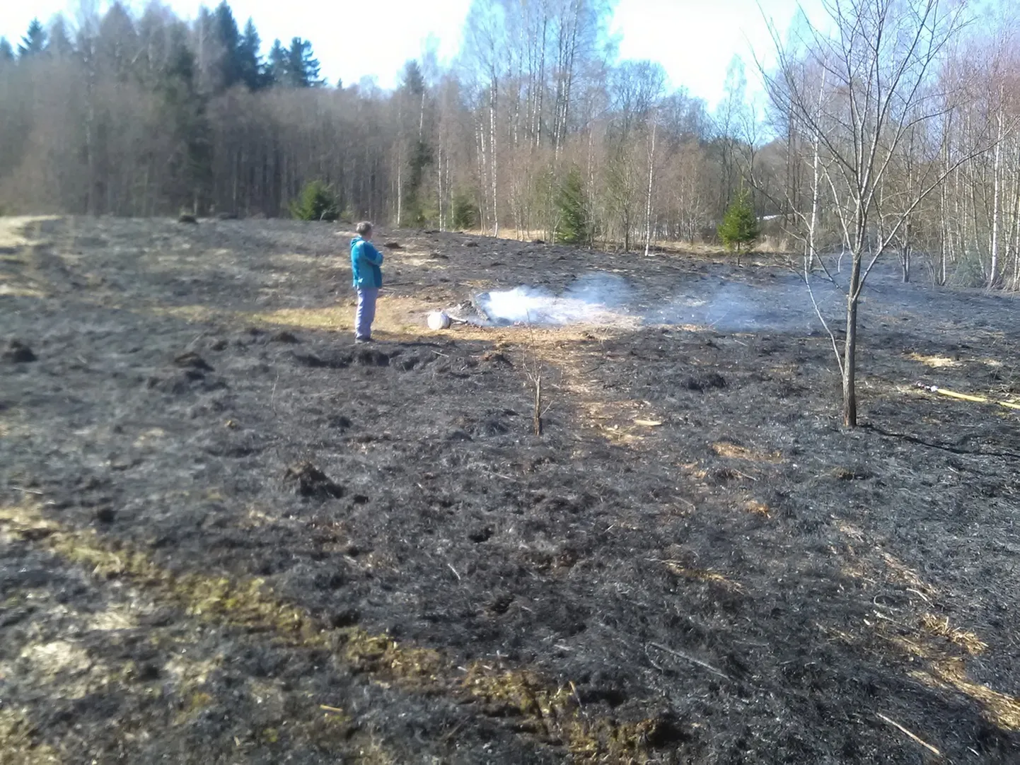 Kulupõleng Võrumaal Paloveere külas 3. aprillil