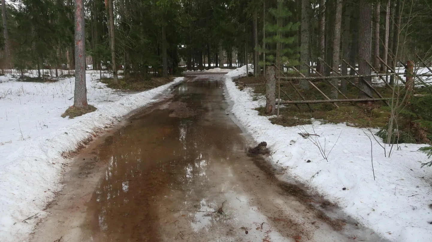 Jaanuaris oleme näinud nii krõbekülma kui sulailma.