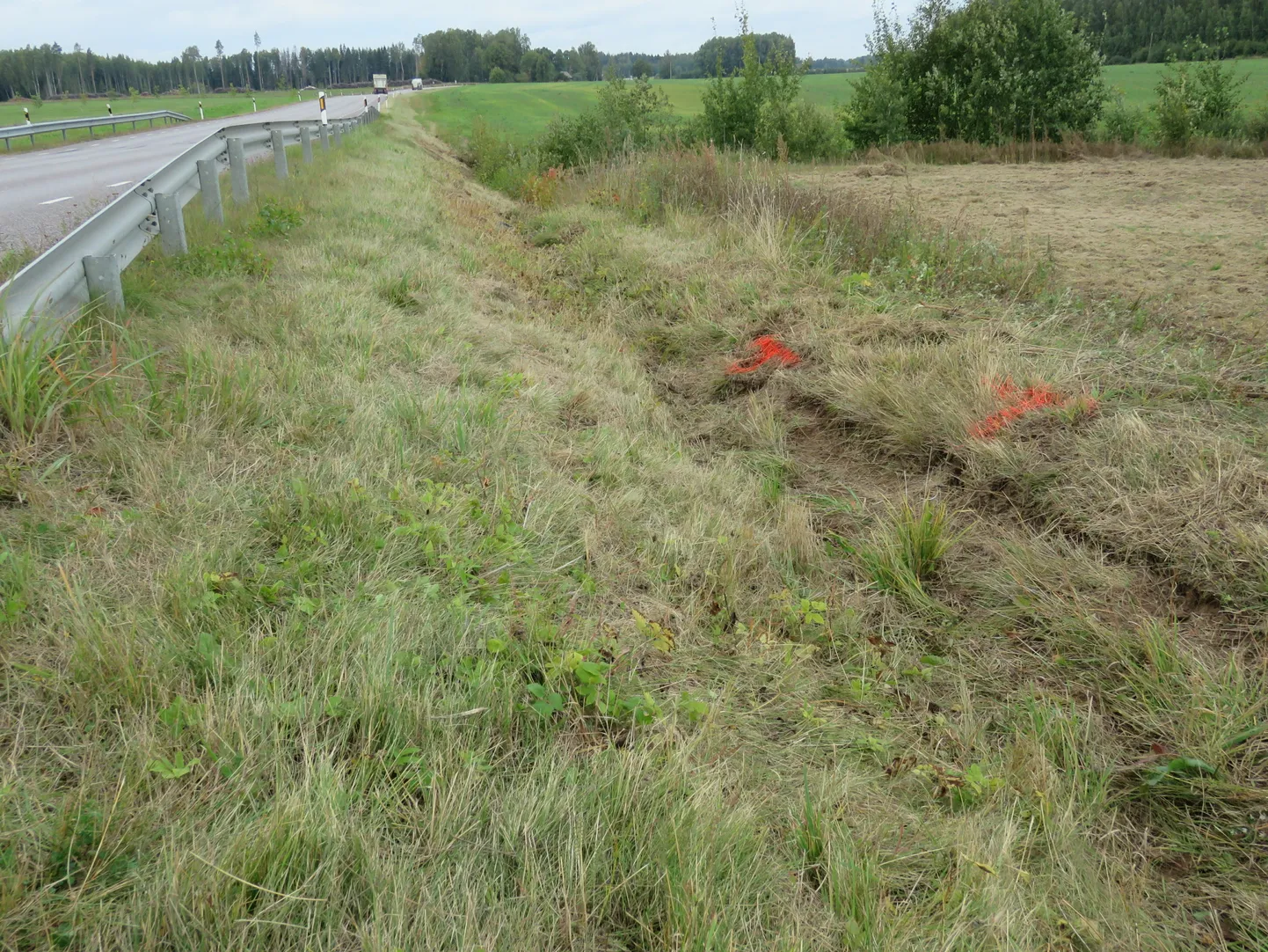 Õnnetuspaik Põlvamaal Suurmetsa külas