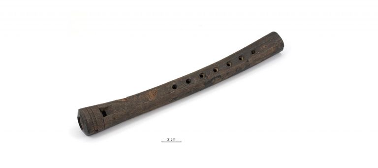 Tartust Ülikooli 15 käimlakastist leitud 14. sajandi I poole vahtrapuust plokkflööt on ainus tollest ajast terviklikult säilinud ning töökorras puust puhkpill. Samasugused pillid olid kindlasti kasutuses ka 13. sajandi Tallinnas.