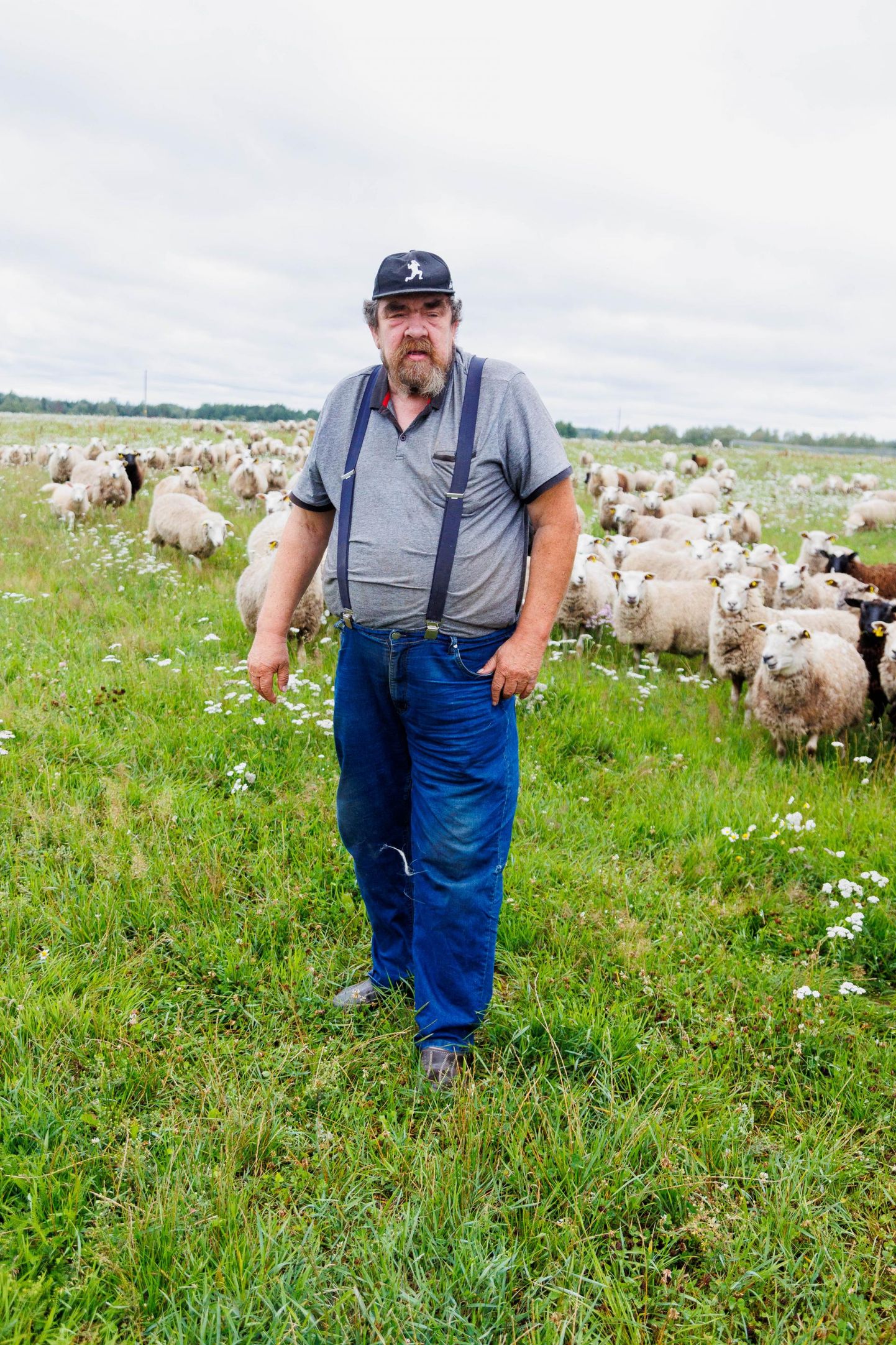 Valgamaa põllumees Jüri Koppel jätab lambakasvatusega hüvasti ja müüb loomad maha. Või nagu ta ise ütleb lõpetamise kohta: aitab küll.