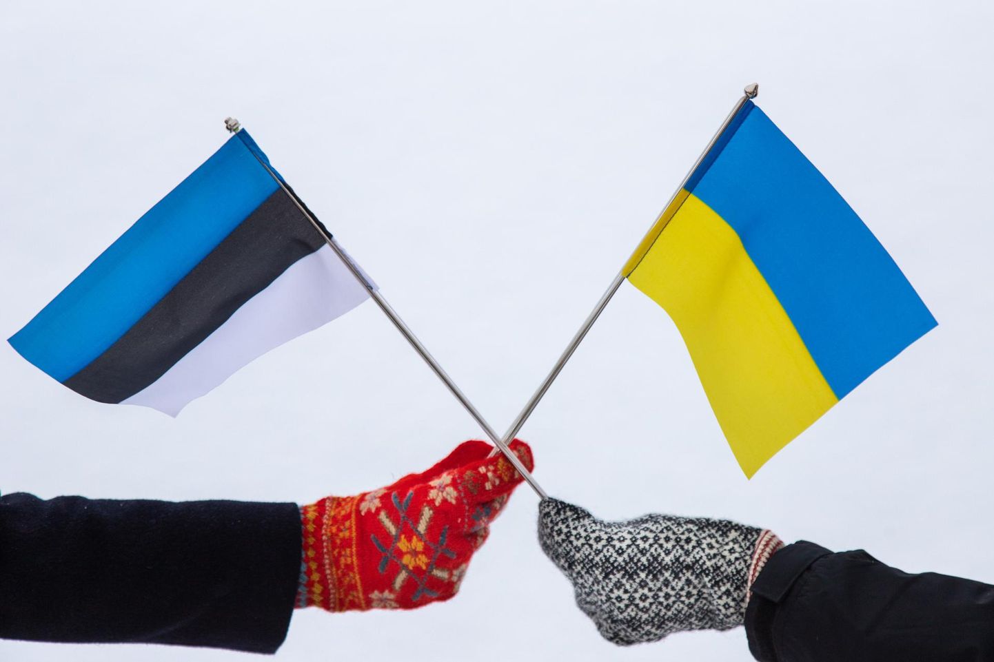 Eesti toetab Ukrainat võitluses Vene agressiooniga.