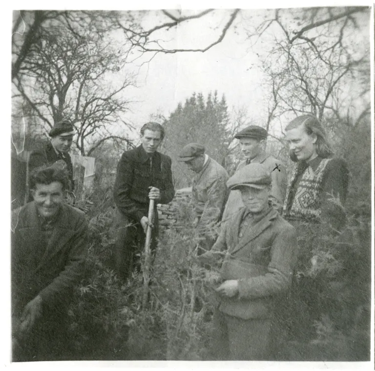 TALGUD LÖÖNE soos 1946. aastal. Grupp Valjala valla inimesi, keskel labidaga Arteemi Laaneväli.
