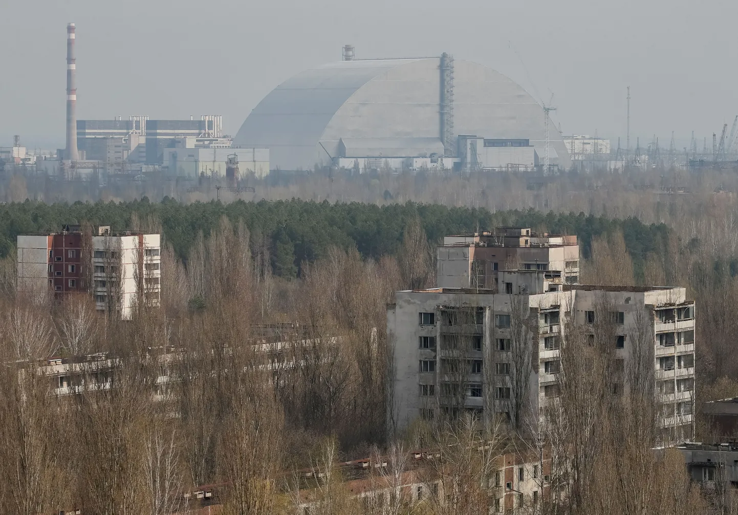 Фото статьи