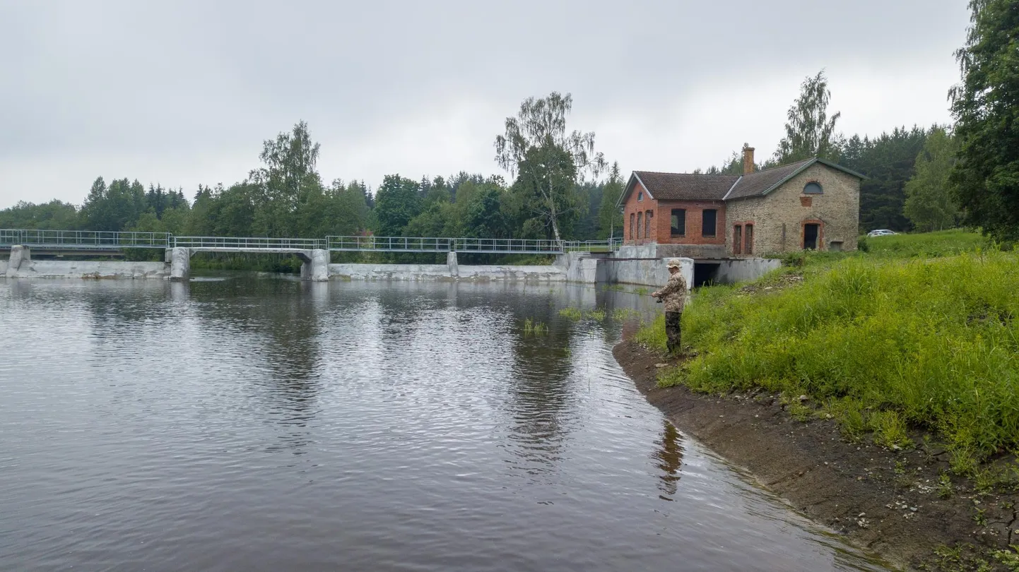 Pärast Jändja paisule kalatee rajamist pääsevad kalad paremini liikuma.