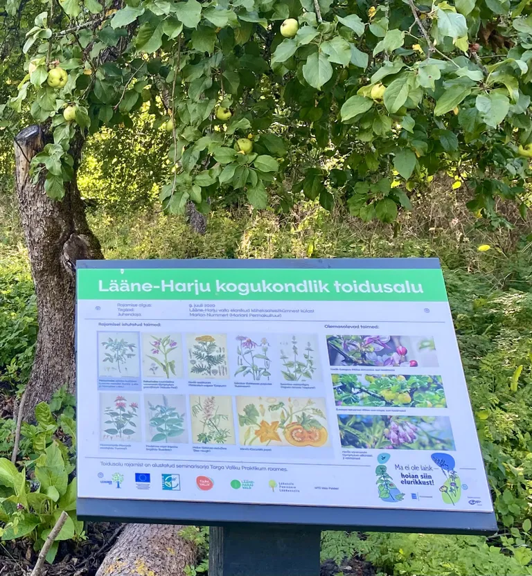 Padise kloostri valitsejamaja tarbeaeda rajatakse permakultuuri süsteeme kogukondlikult. 2020. aastal rajati permakultuuri alussüsteemiks peetav toidusalu.
