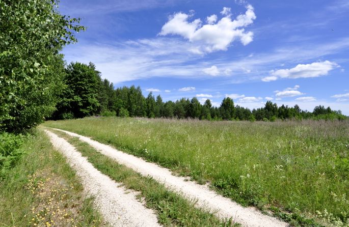 apology Appraisal thumb Zaļais stūris: Latvijas ainavas un koku kopšana