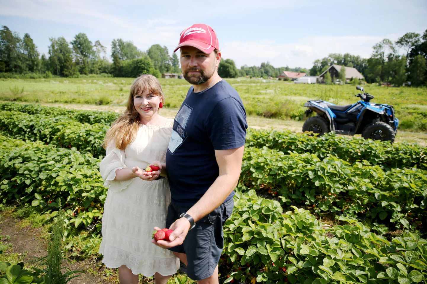 Jutu käigus sõitis Ville Karhunen abikaasale esimesi valminud Polka maasikaid näitama, ülejäänute küpsemist tuleb Lemmatul veel oodata.
