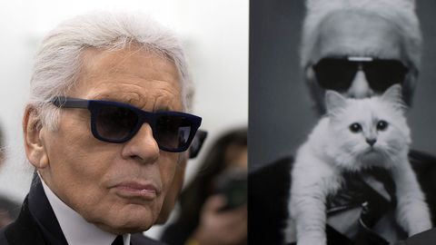 Karl Lagerfeldi kassi hiiglasliku päranduse kohta selgus šokeeriv detail