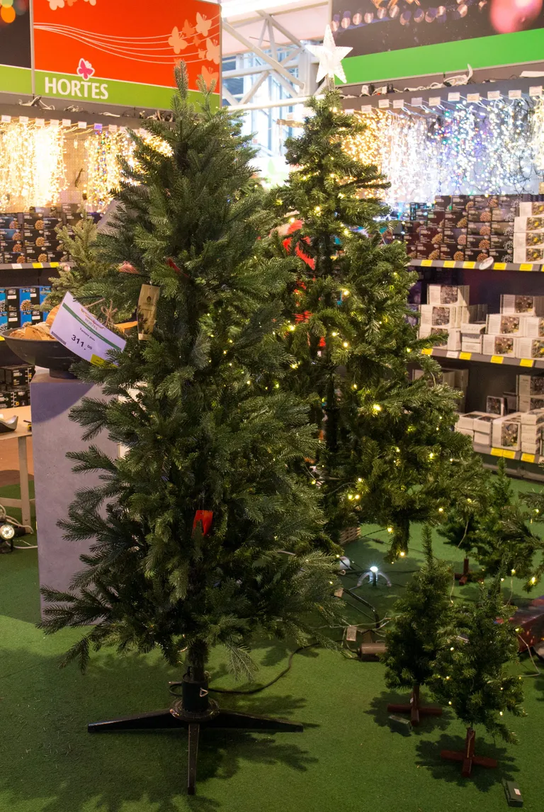 Ka tantsiv kuusk vajab aeg-ajalt puhkust.