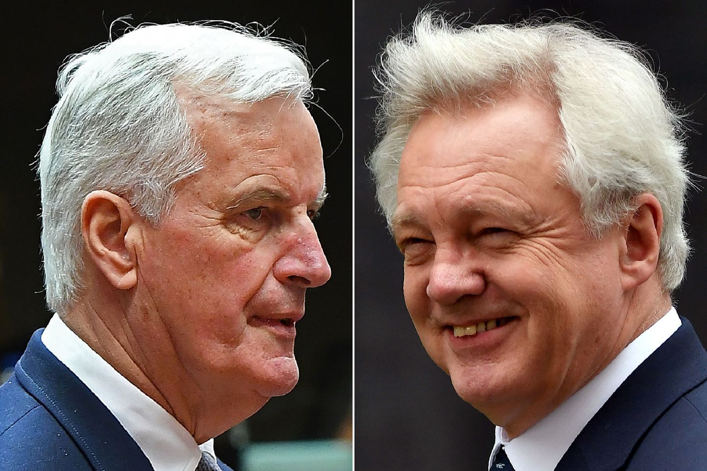 Michel Barnier ja David Davis.