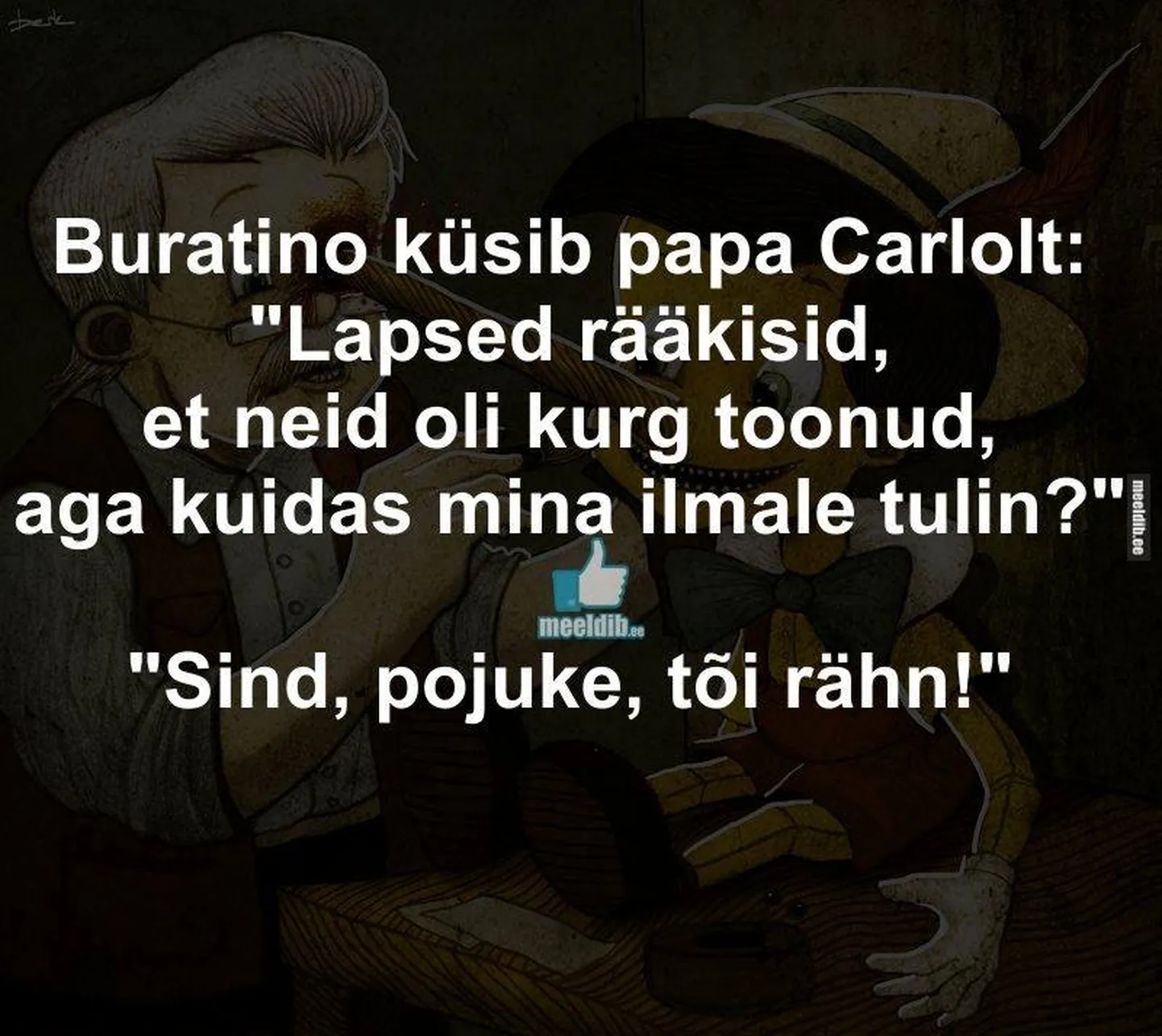 Artikli foto