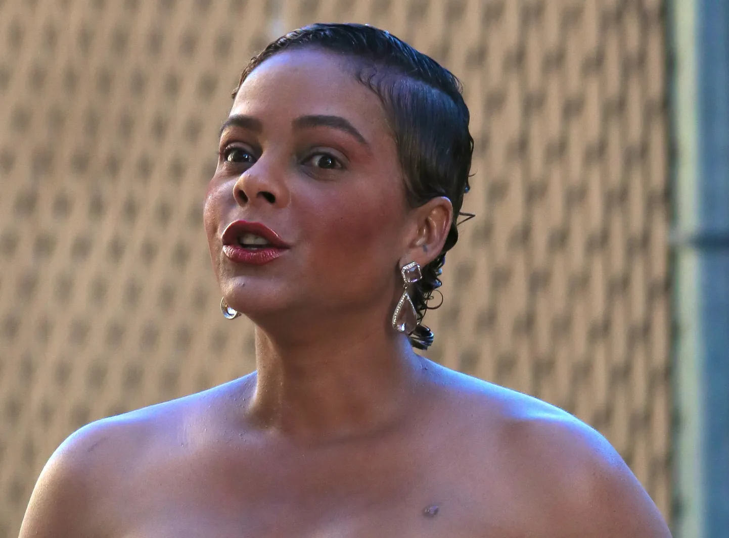 Lark Voorhies