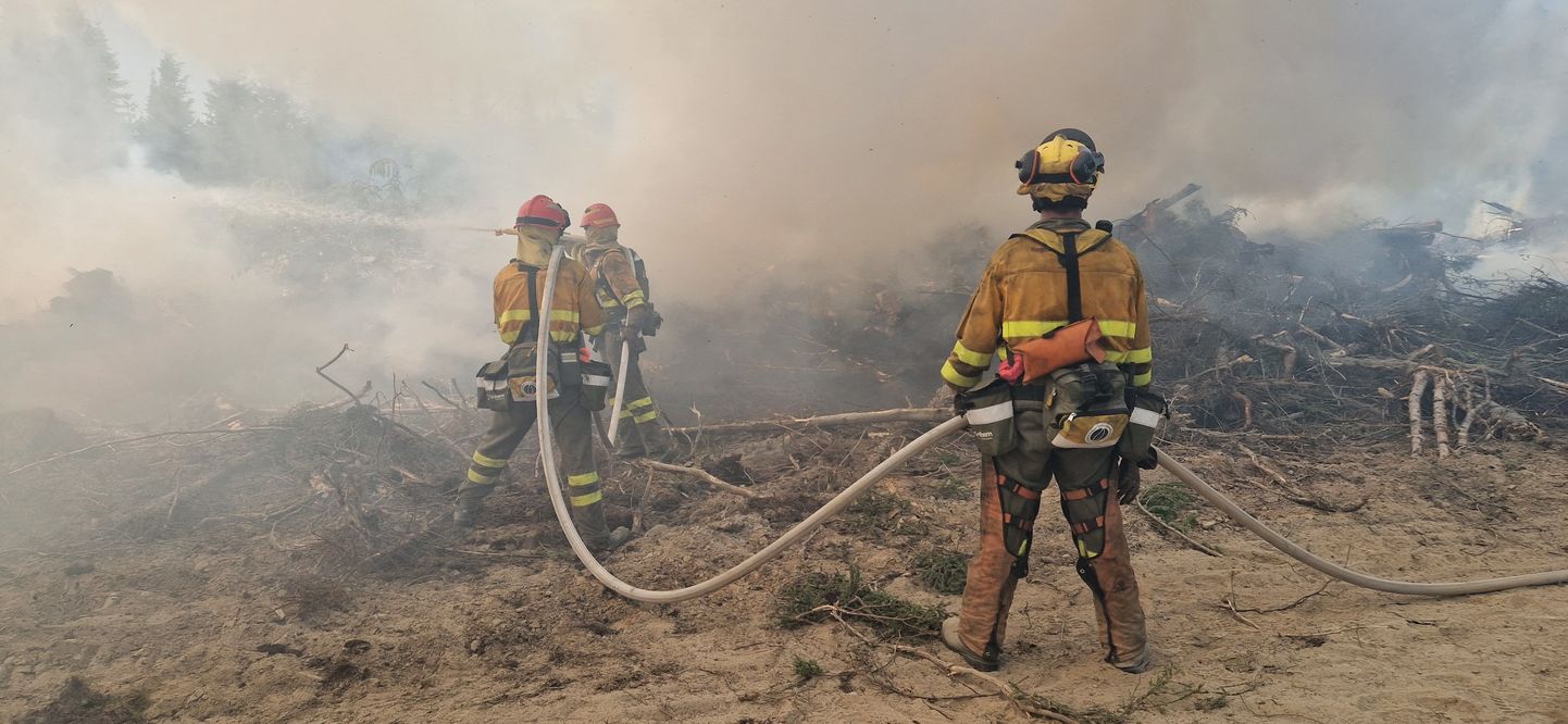 Tuletõrjujad kustutamas metsapõlengut Kanada Quebeci provintsis.