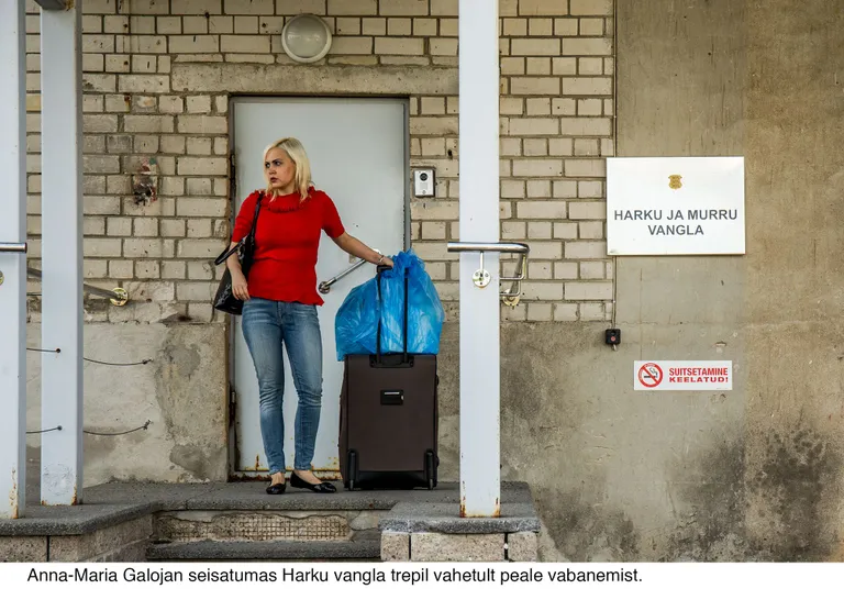 Artikli foto