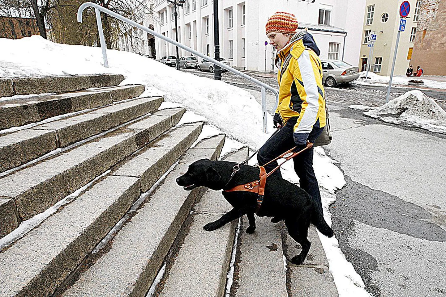 «Temaga on turvaline liikuda, sest Roosi on rahulik,» kiitis kolme juhtkoera treeninud Maria Soonberg oma praegust õpilast.