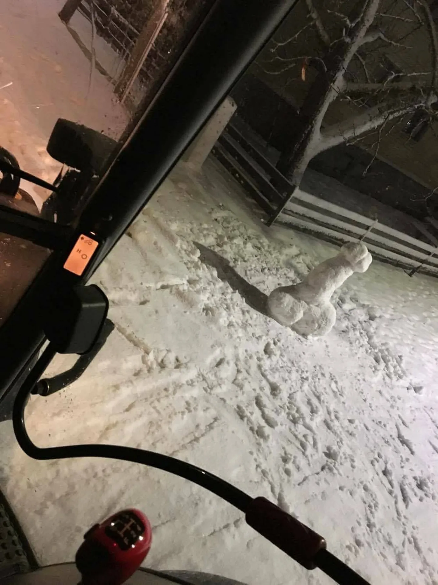 Artikli foto